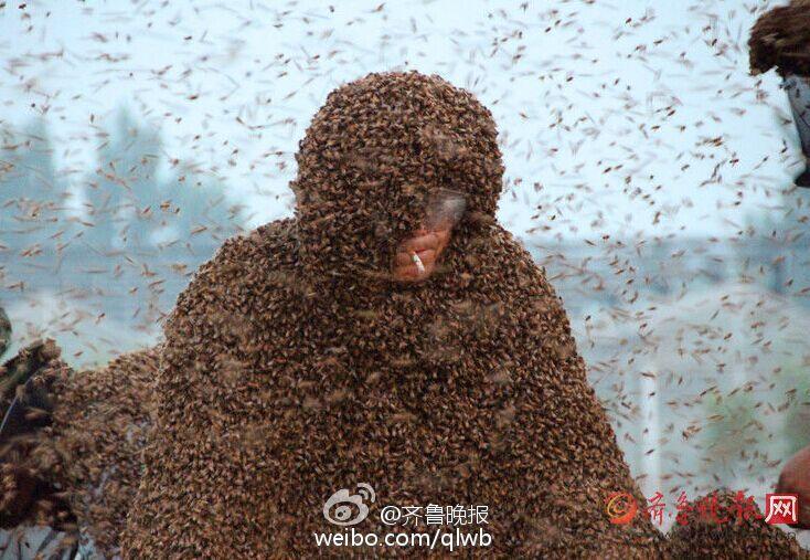 "ملك النحل الصيني" يسجل رقما قياسيا عالميا 