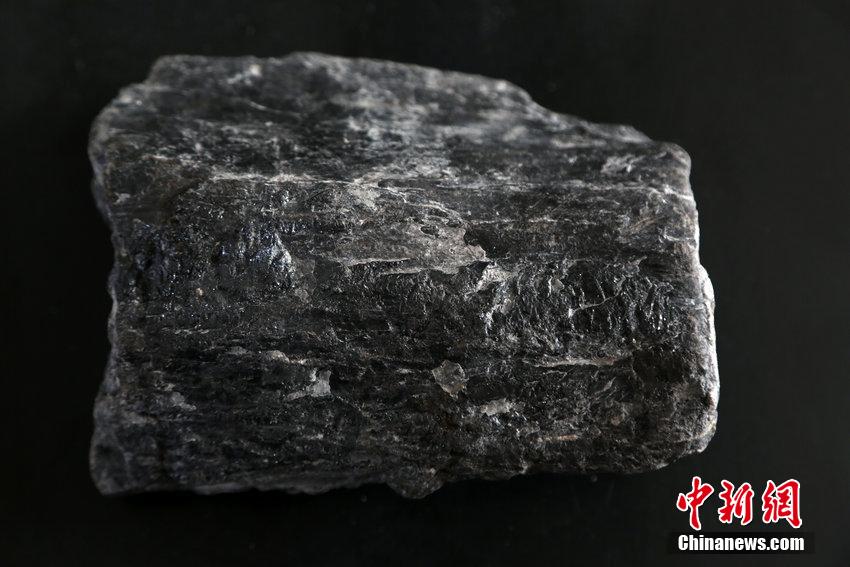 الصين تكتشف أحفور خشب أقدم من الديناصورات ب50 مليون سنة