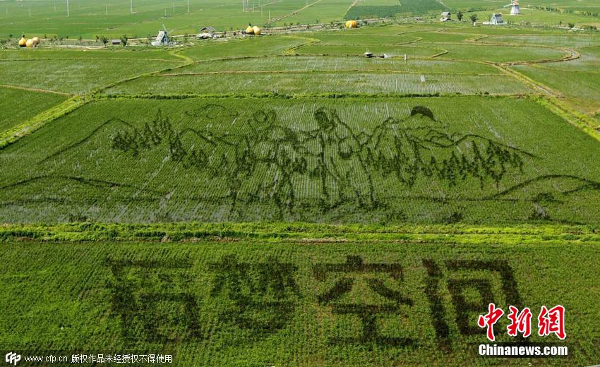 لوحات ضخمة ثلاثية الأبعاد تظهر في حقول الأرز فى الصين