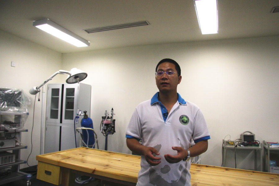 سيتشوان تفتتح أول مستشفى باندا متخصص في العالم