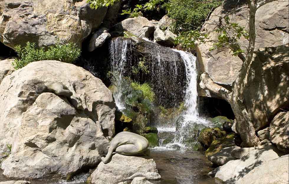 فنان سويسري يبتكر الرسوم على جسم الانسان بألوان متمازجة مع البيئة