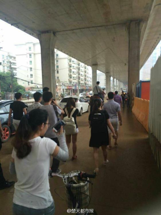 مذهل.. رجل صيني يركب حصانا إلى العمل في ووهان