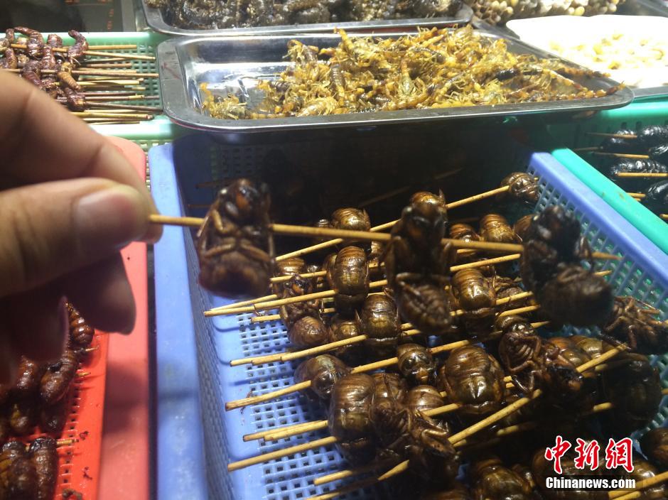 "وليمة من الحشرات" بمهرجان الأطعمة في يوننان