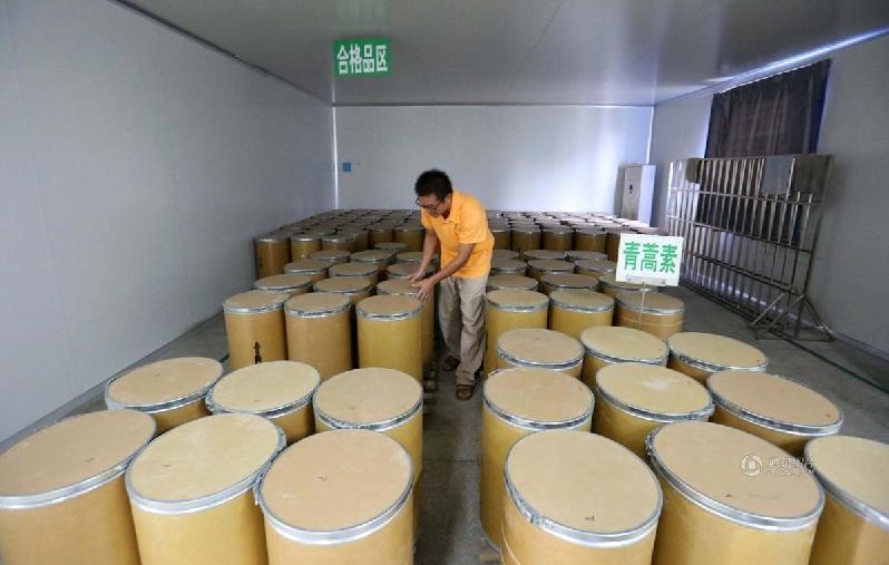 مجموعة صور: أكبر قاعدة لإنتاج مادة الأرتيميسينين في الصين