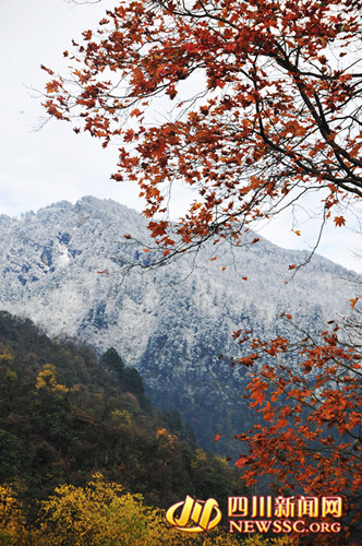 1: جبل شيلينغ الجبلي بمقاطعة سيتشوانفترة التمتع: من سبتمبر إلى نوفمبر