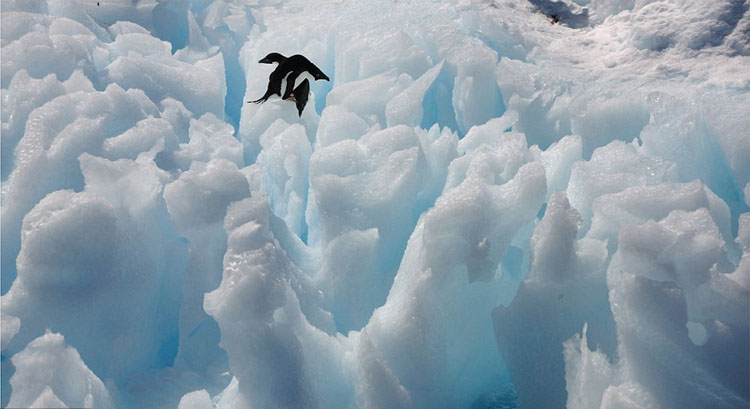 ℃－90.. مشاهد مثيرة للقطب الجنوبي تحت عدسات مصور ايطالي 