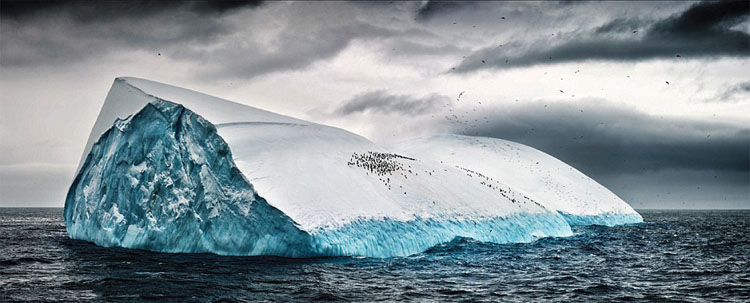 ℃－90.. مشاهد مثيرة للقطب الجنوبي تحت عدسات مصور ايطالي 