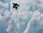℃90－.. مشاهد مثيرة للقطب الجنوبي تحت عدسات مصور ايطالي 