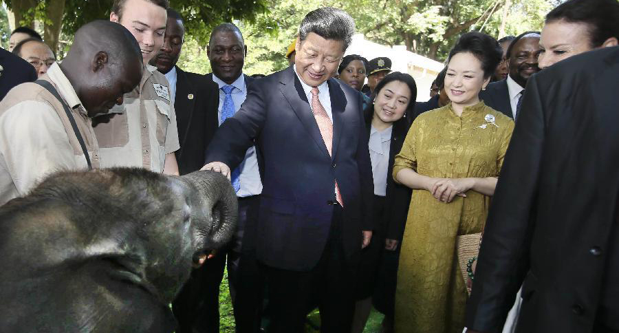 شى يؤكد مجددا التزام الصين بحماية الحيوانات البرية
