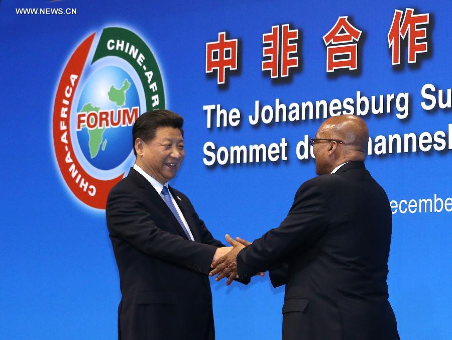 شي يقترح رفع العلاقات بين الصين وإفريقيا إلى شراكة تعاونية إستراتيجية شاملة