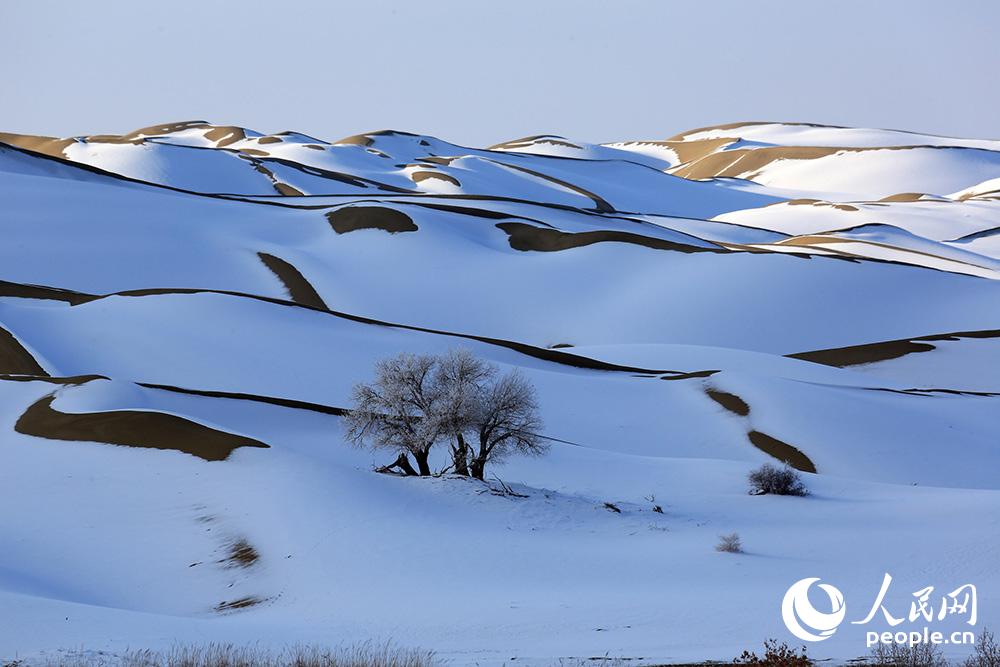 مناظر خلابة لأكبر صحراء صينية مغطاة بالثلوج