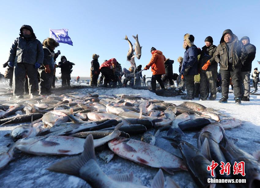 إنطلاق مهرجان صيد السمك الشتوي ببحيرة تشاقان وبيع أول سمكة ب788.888 ألف يوان