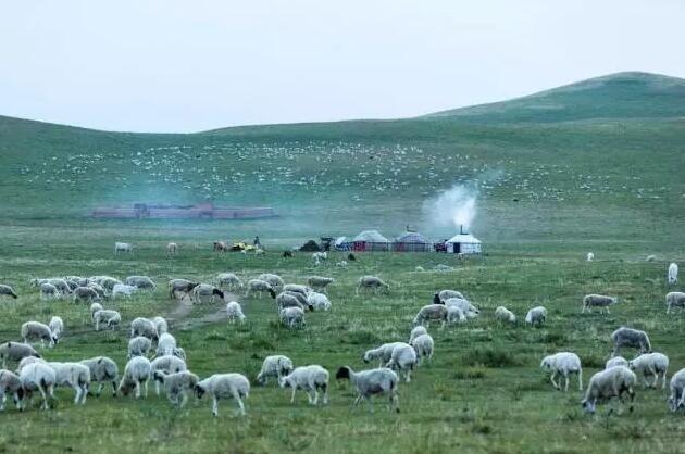 5، قرية نوقان باولي جقا في منغوليا الداخلية  