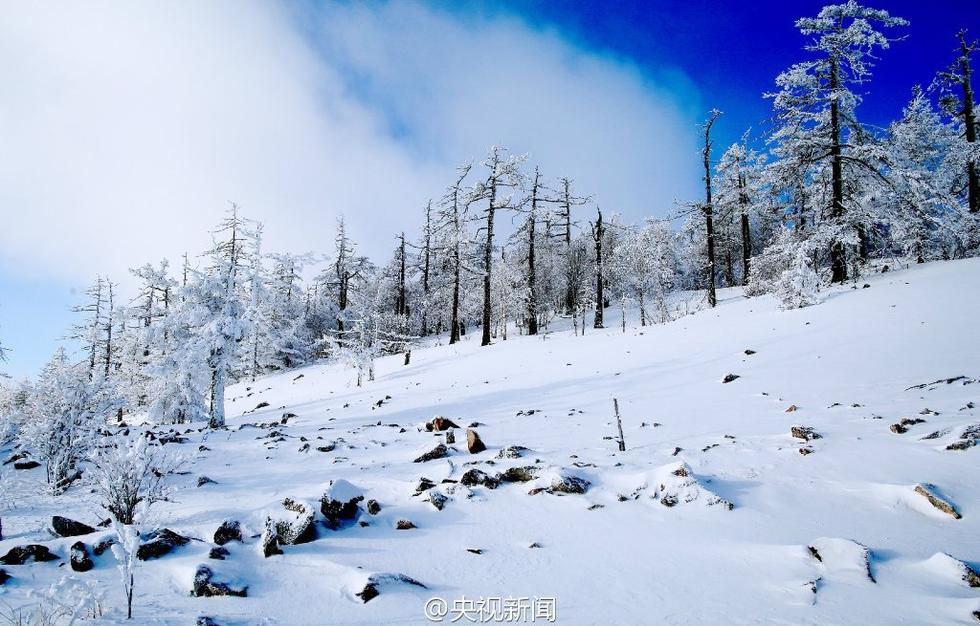 أجمل عالم الثلوج في أقصى شمال الصين