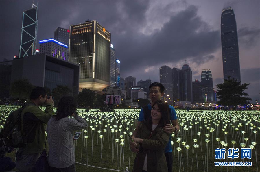 مصابيح بشكل الورود تضيء ميناء فيكتوريا في هونغ كونغ لاستقبال عيد الحبّ