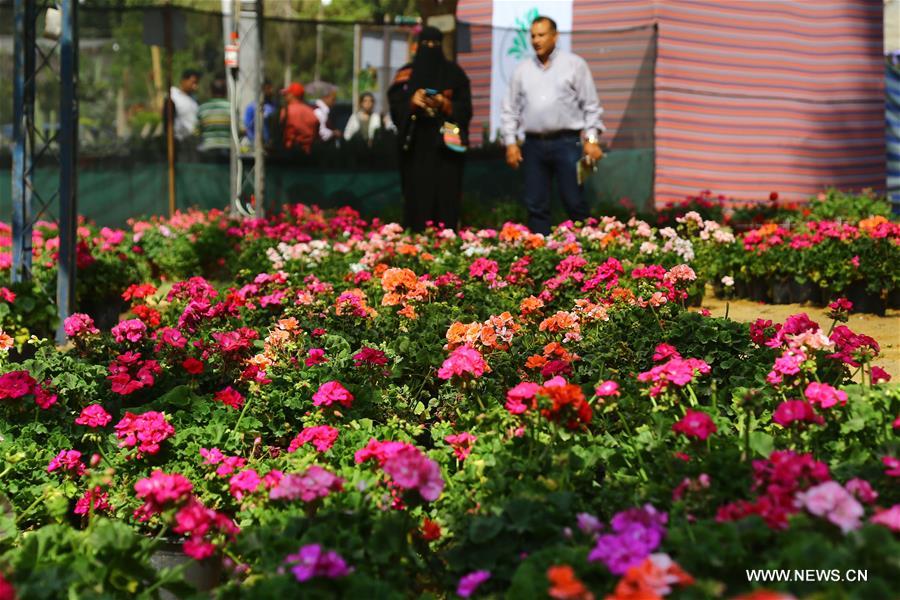معرض زهورالربيع في مصر
