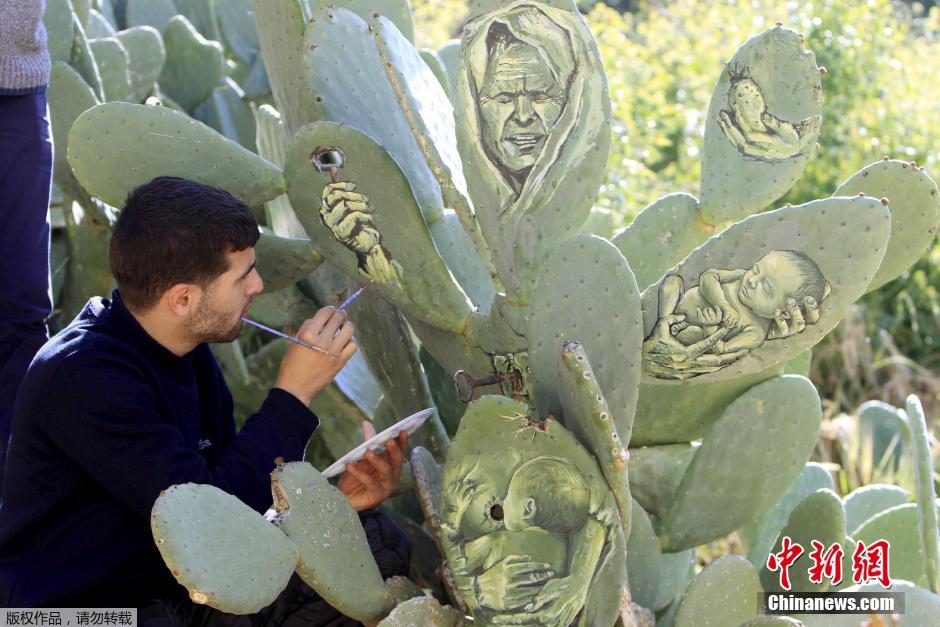 فنان فلسطيني يبدع رسوما حية على الصبار