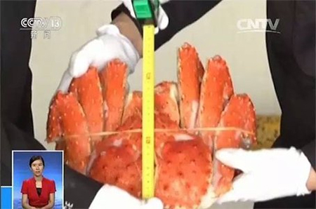 جمارك تشينغداو تضبط مأكولات بحرية مهربة من فوكوشيما اليابانية بقيمة 230 مليون دولار