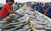 لبنان تنظم أكبر عرض للمأكولات البحرية فى العالم