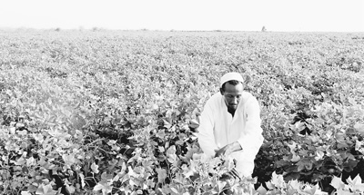افتتاح منطقة التعاون الزراعي الصينية – السودانية رسميا