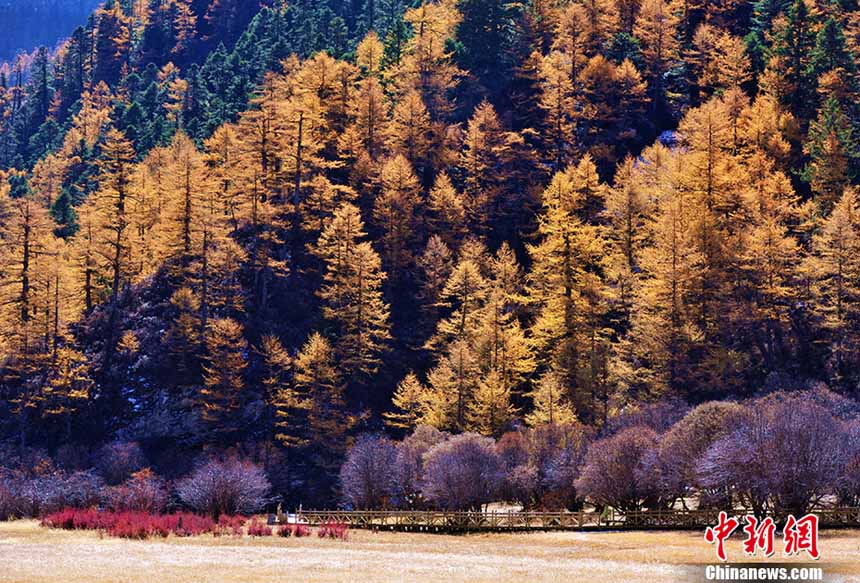 بالصور: أفضل 10 وجهات للسياحة  الخريفية  في الصين
