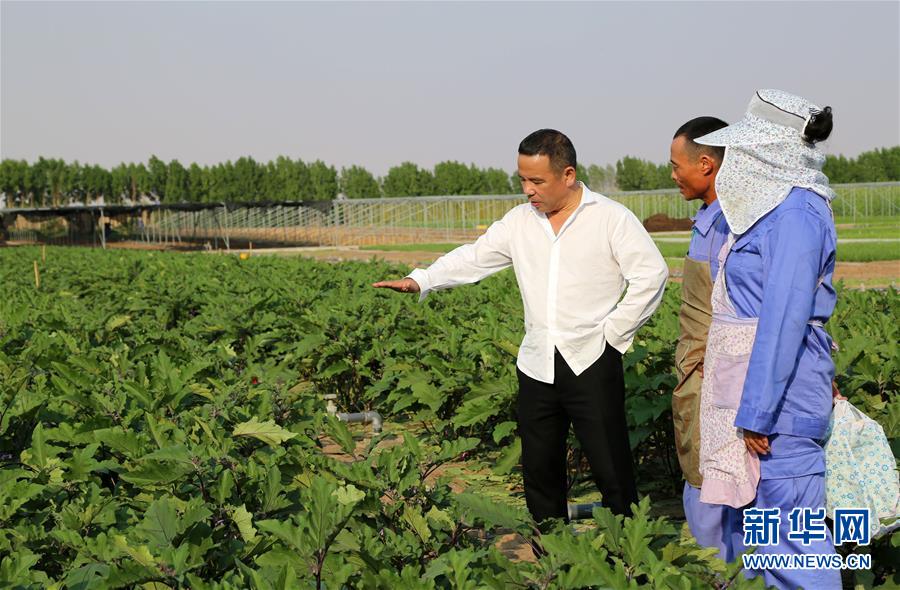 شركة صينية تبنى مزرعة خضراء فى صحراء دبي