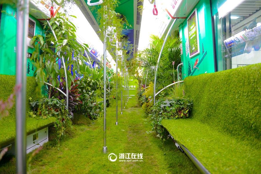 غابة في عربة مترو الانفاق بمدينة هانغتشو