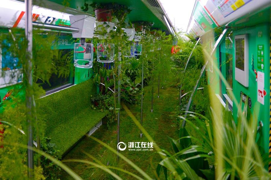 غابة في عربة مترو الانفاق بمدينة هانغتشو