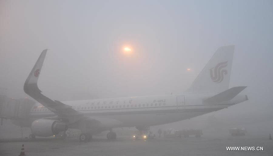 ضباب كثيف نادر يعيق سفر 20 ألف شخص في مطار تشنغدو