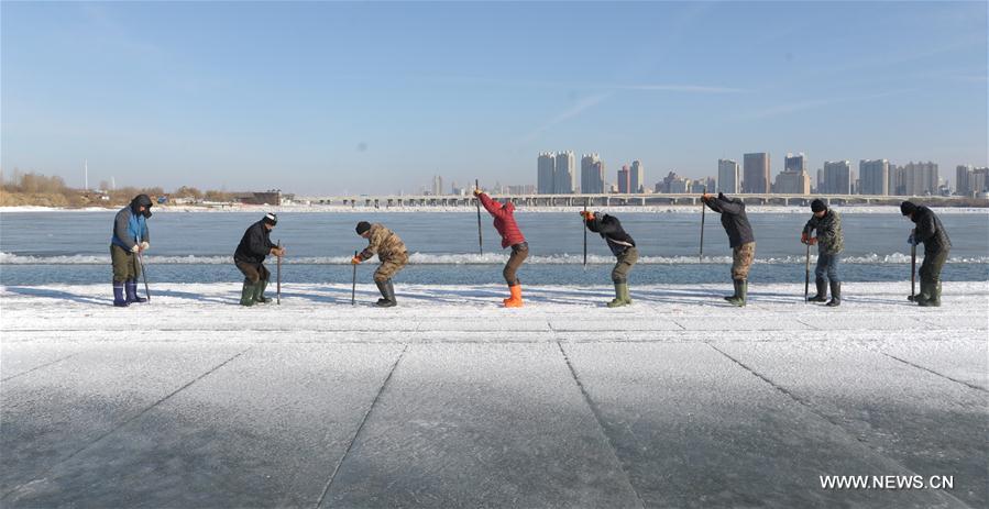 استخراج الجليد في نهر سونغهوا بشمال شرقي الصين