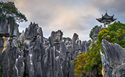 "غابة الأحجار" الصينية فى عدسات المصورين الأجانب