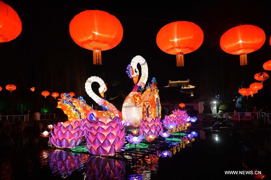 مصابيح ملونة متنوعة أثناء عيد الربيع في شرقي الصين 