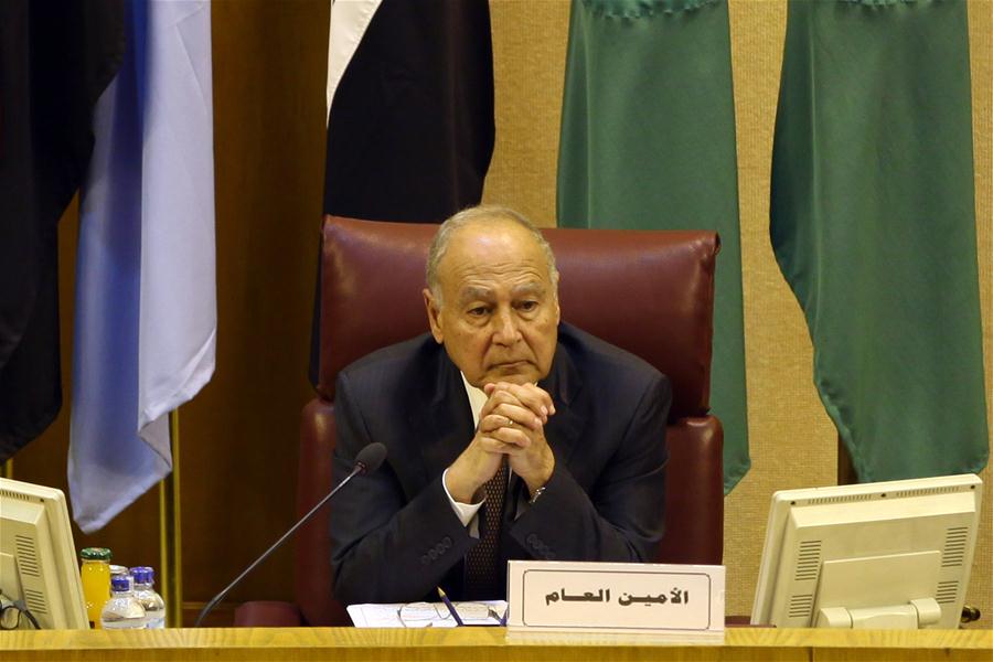 وزراء الخارجية العرب يبحثون 30 بندا أبرزها القضية الفلسطينية والتصدي لنقل البعثات الدبلوماسية إلى القدس