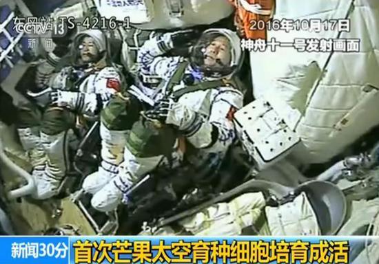 الصين الأولى عالميا فى تربية أجنة المانجو فى الفضاء