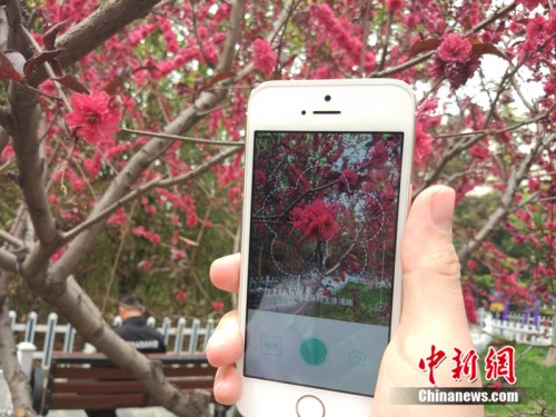 تطبيق الهاتف المحمول يساعد في التعرف على الزهور