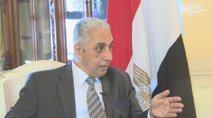 سفير مصر: توافق موضوعي ومنطقي بين مبادرة 