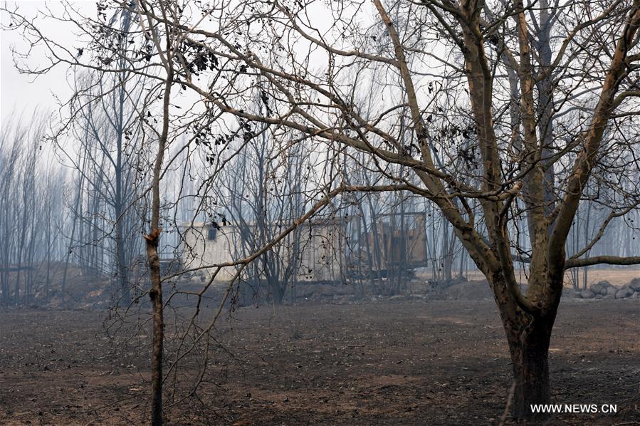 رجال الإطفاء يحاربون حرائق الغابات المدمرة في البرتغال