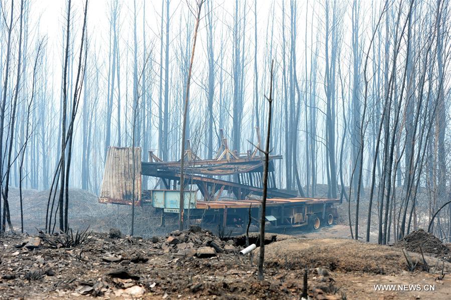 رجال الإطفاء يحاربون حرائق الغابات المدمرة في البرتغال
