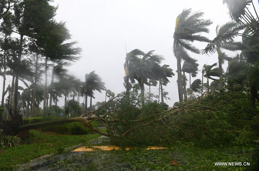إعصار إيرما يصل إلى اليابسة في فلوريدا الأمريكية