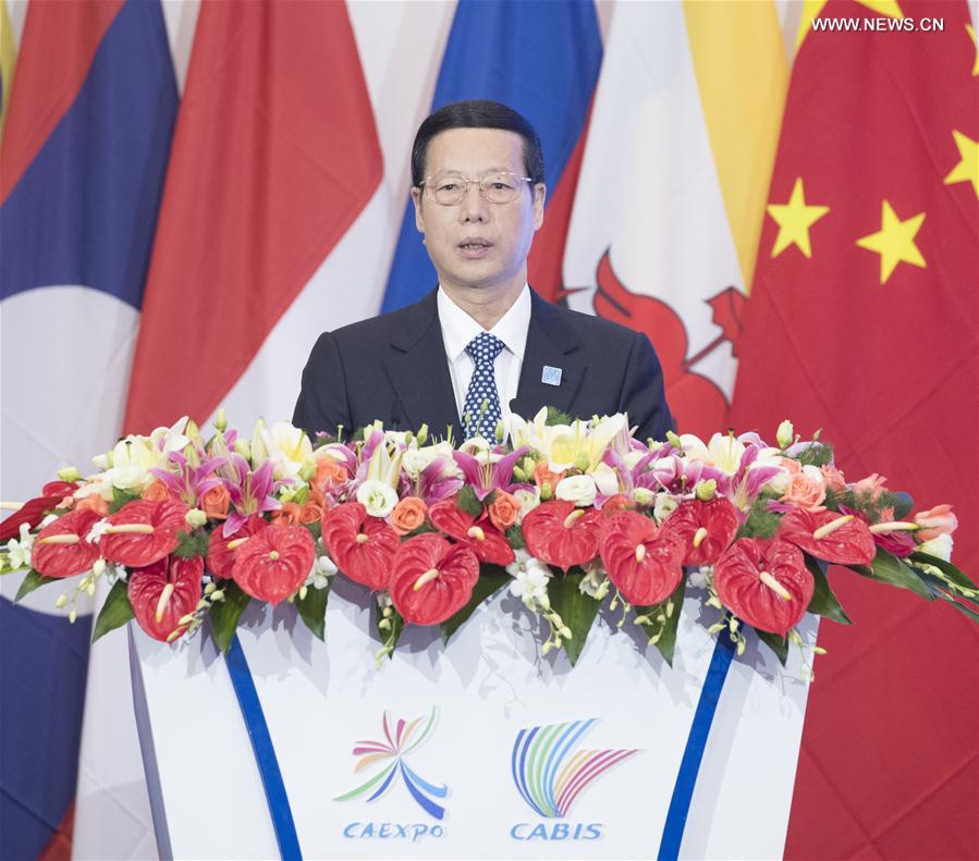 نائب رئيس مجلس الدولة: الصين والآسيان تحققان تقدما ملحوظا في تعاونهما