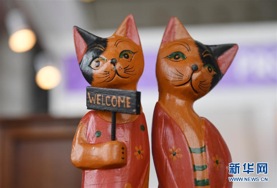 البضائع اللطيفة في معرض الصين ودول الآسيان