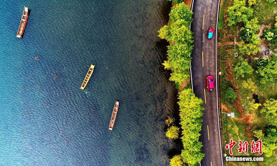 مجموعة صور: جمال مناظر الخريف على ضفاف بحيرة لوغو