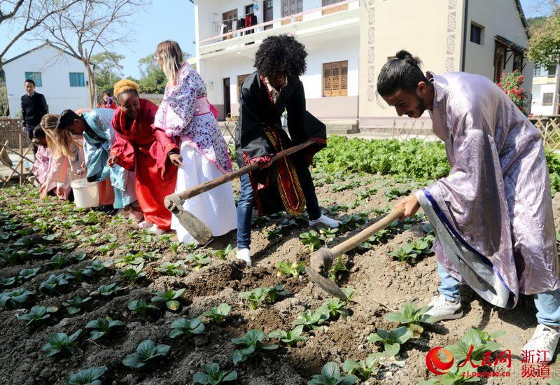 الصور... الطلاب الأجانب يشاركون في نشاط تجربة الثقافة الصينية التقليدية