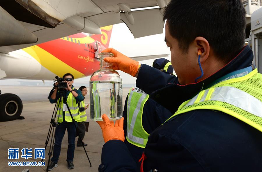 أول رحلة طيران صينية بالوقود الحيوي تشق المحيط