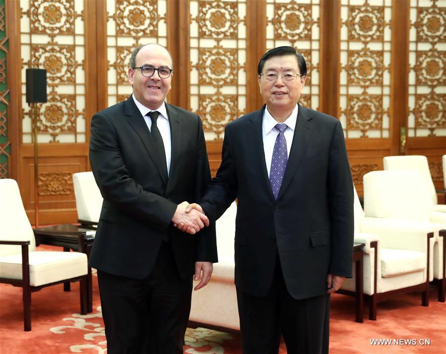 كبير المشرعين الصينيين يلتقي برئيس مجلس المستشارين المغربي