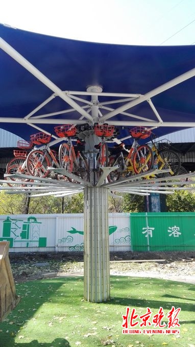 بكين ستجرب مواقف ثلاثية الأبعاد للدرّاجات في العام القادم