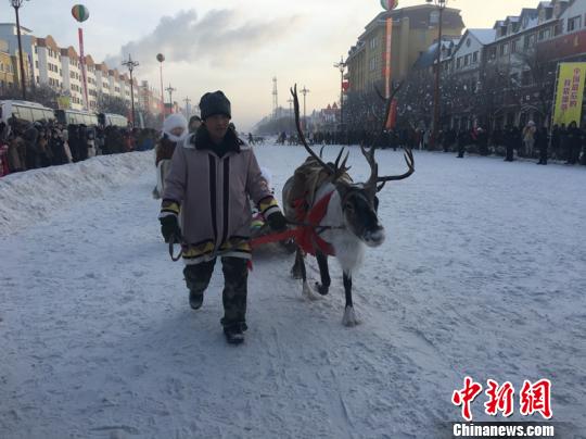 بالصور: سباق الزلاجات عند آخر قبيلة تستخدم غزال الرنة في الصين