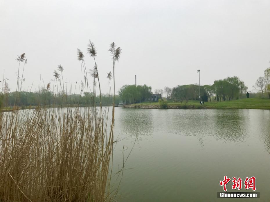 مناظر ربيعية جميلة في المنتزه الطبيعي بحيرة باي يانغ ديان
