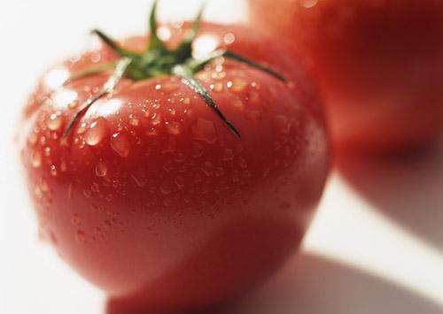 العلماء الصينيون يكتشفون اسرار لذة الطماطم
