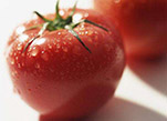 العلماء الصينيون يكتشفون اسرار لذة الطماطم